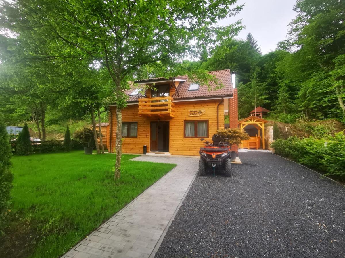 Bear'S Lair Chalet Felsőporumbák Kültér fotó