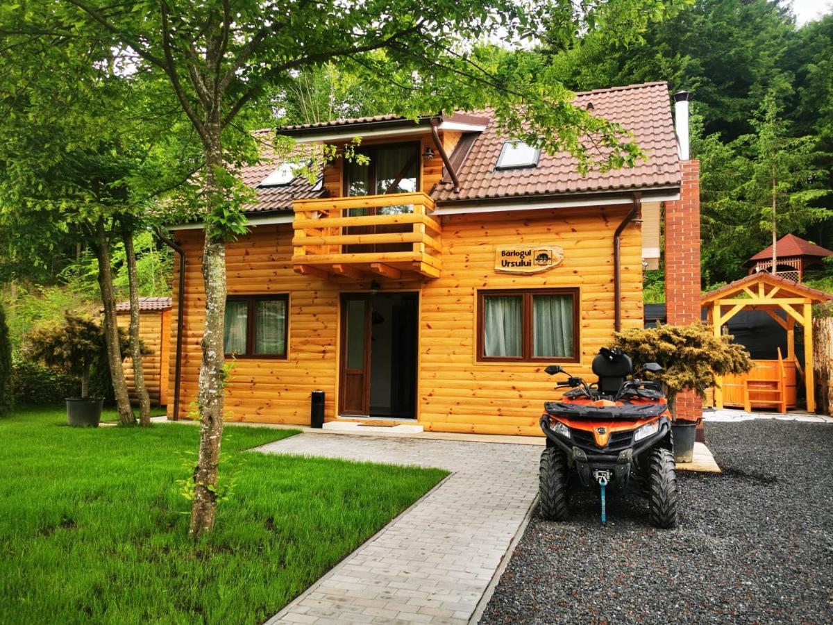 Bear'S Lair Chalet Felsőporumbák Kültér fotó