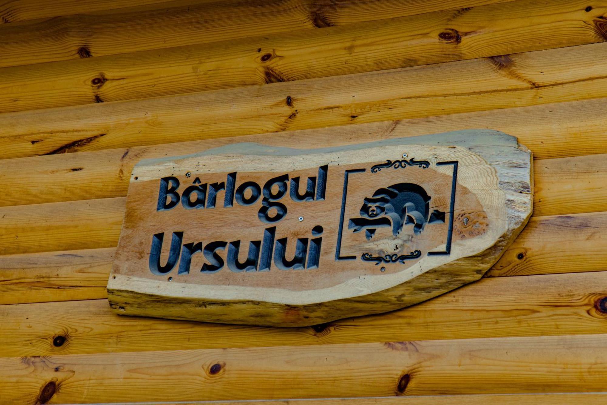 Bear'S Lair Chalet Felsőporumbák Kültér fotó